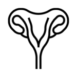Vaječníky