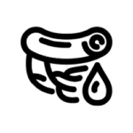 Cievy