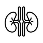 Obličky