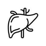 Pečeň