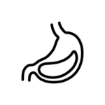 Žalúdok