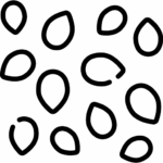Semienka