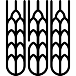 Vláknina