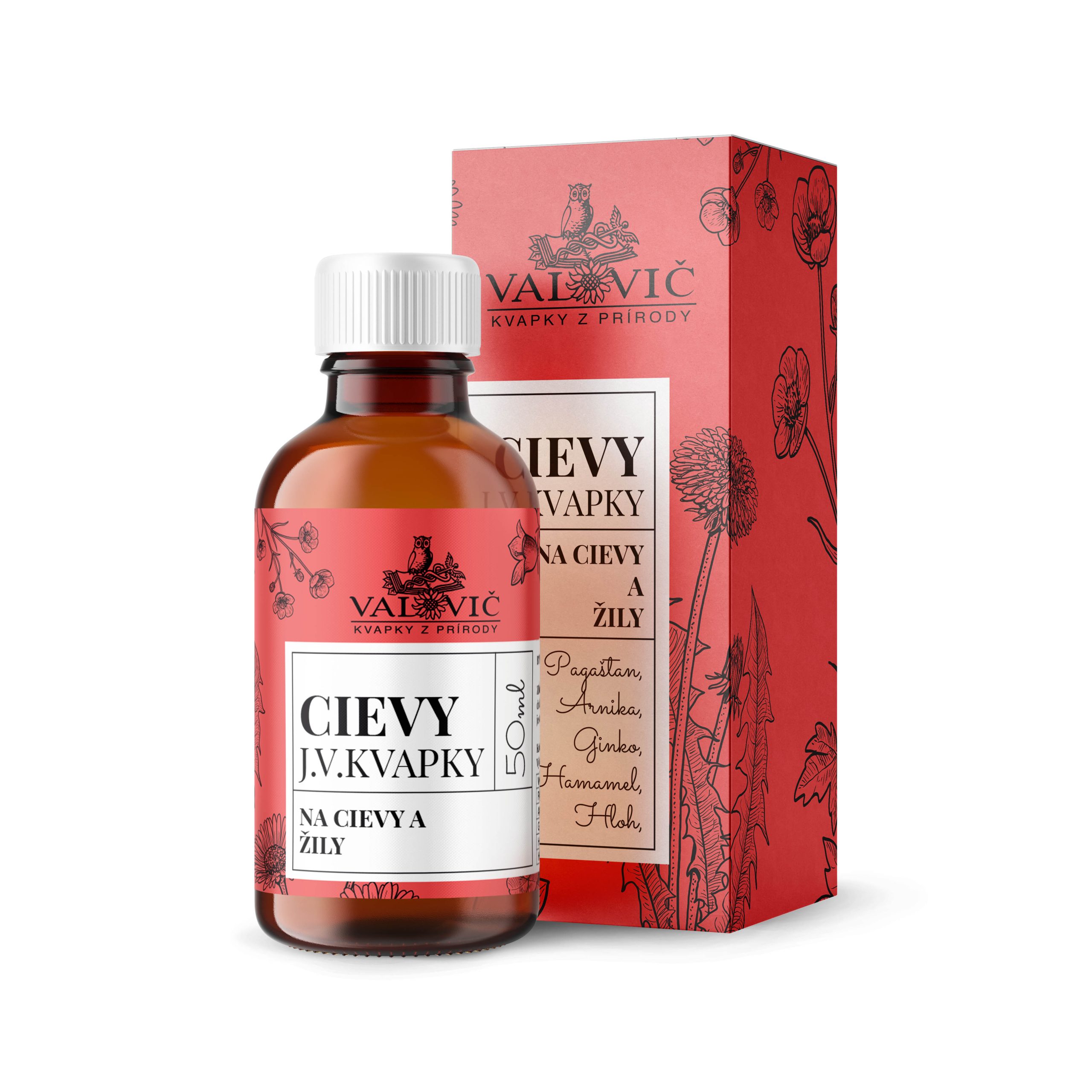 J.V.Kvapky - CIEVY (Cievy a žily)