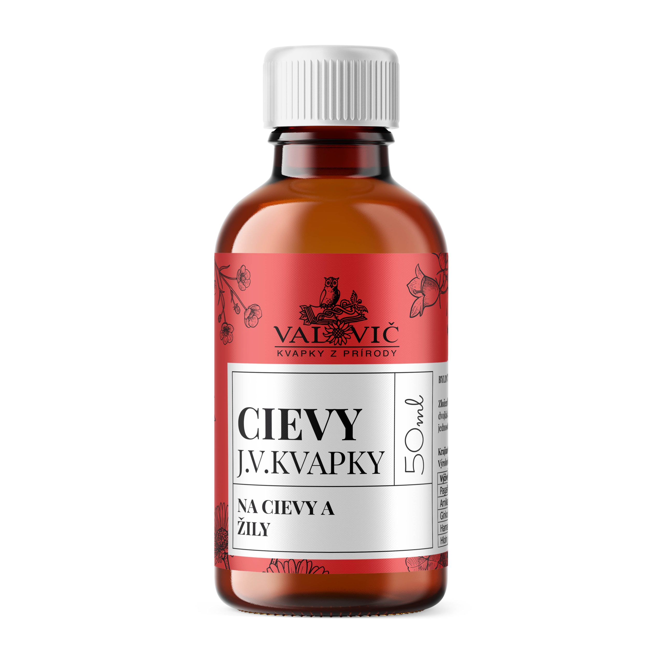 J.V.Kvapky - CIEVY (Cievy a žily)